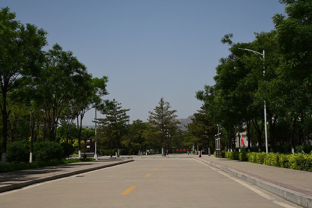 DSC_8729.JPG